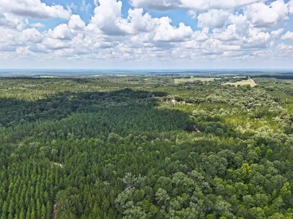 Picture 16