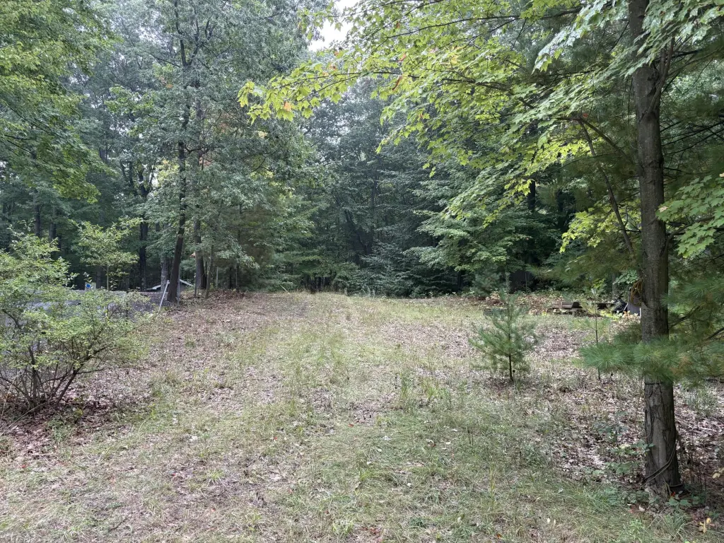 Picture 3