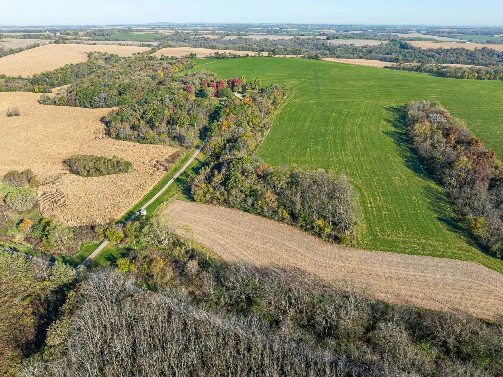Picture 4