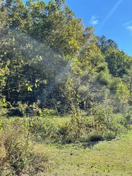 Salyersville Land for Outdoor Enthusiasts