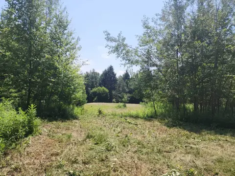 Ashland Vacant Land Near Windham