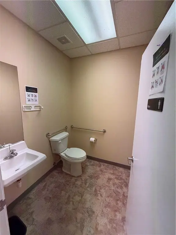 Picture 14