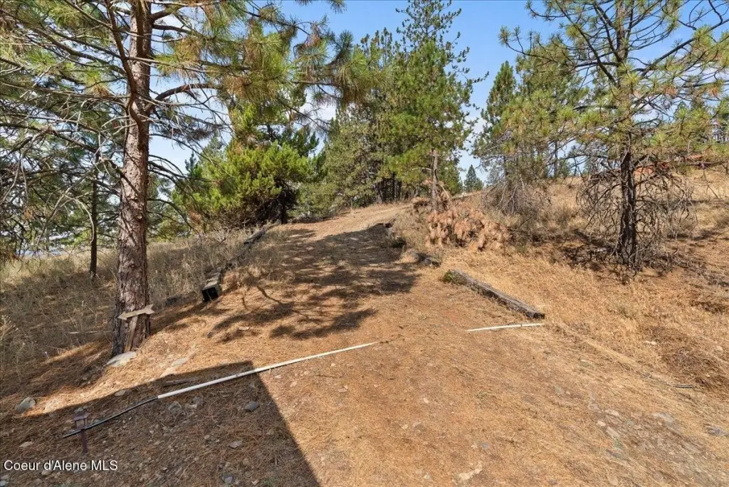 Picture 16