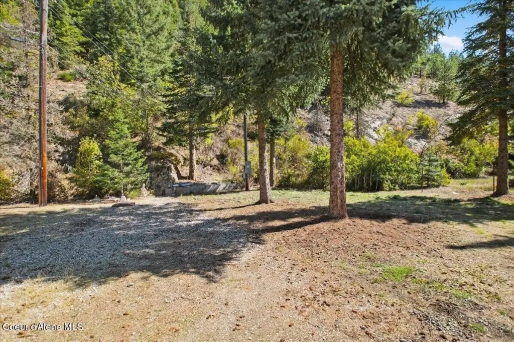 Picture 19