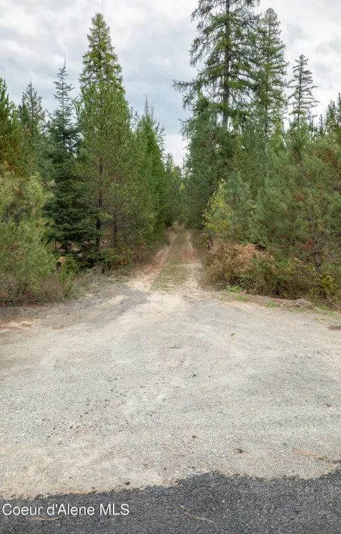 Picture 40