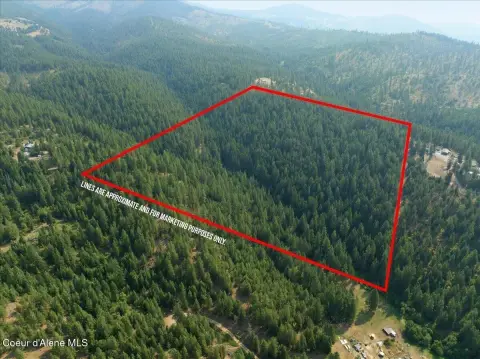 Timbered Recreational Land