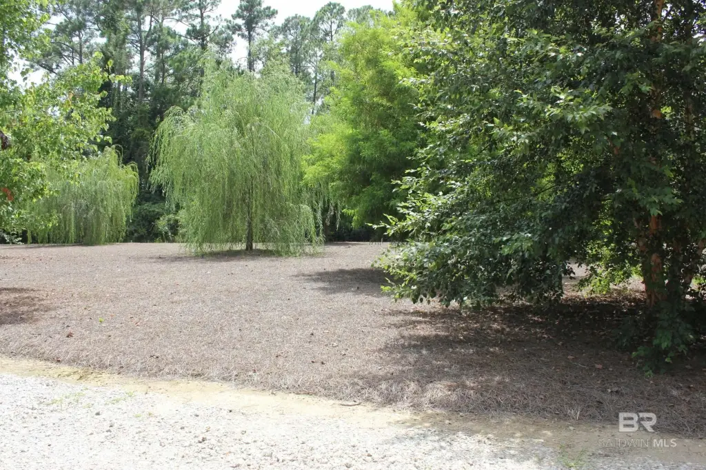 Picture 30