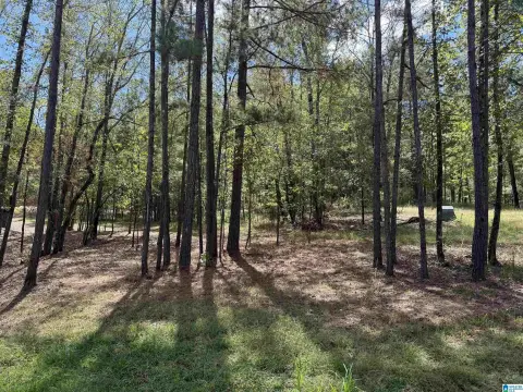 Bessemer Acreage in Camp Creek