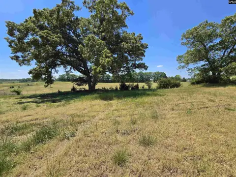 Cattle Farm with Two Ponds