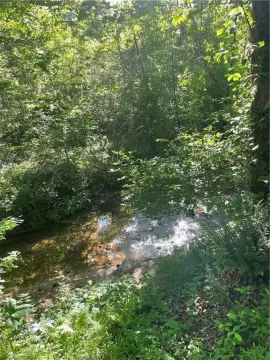 Land with Creek in Nelson