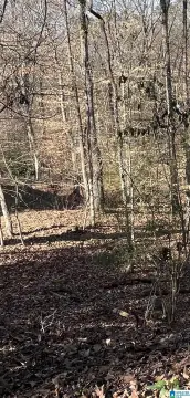 Land For Sale Birmingham