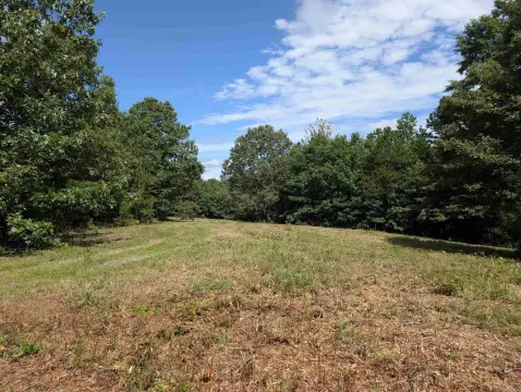 Secluded Acreage Bordering National Forest