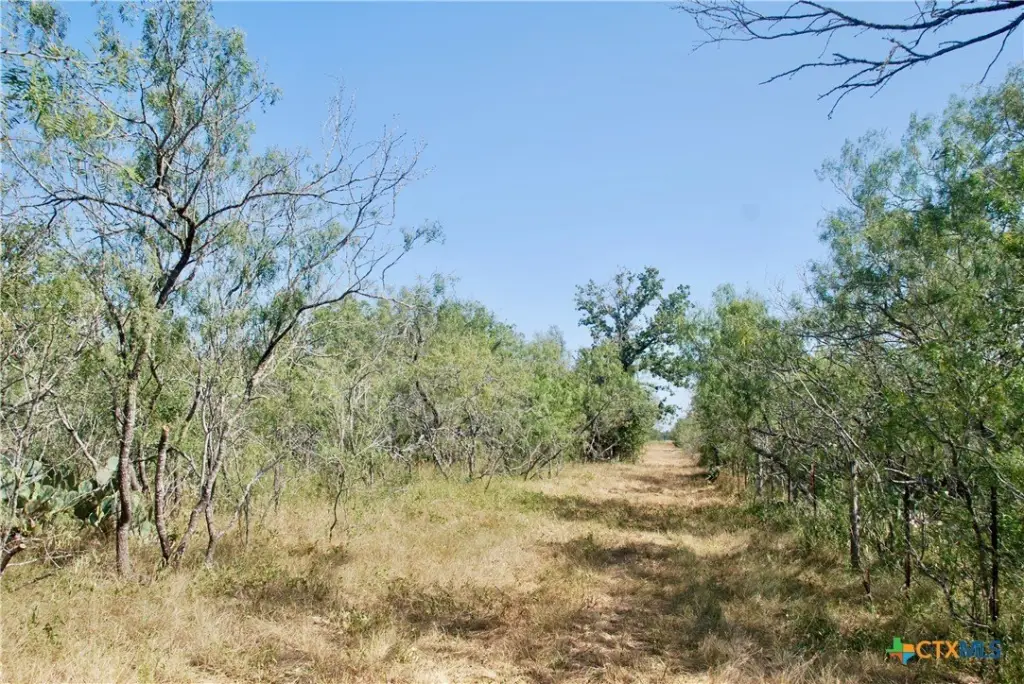 Picture 10
