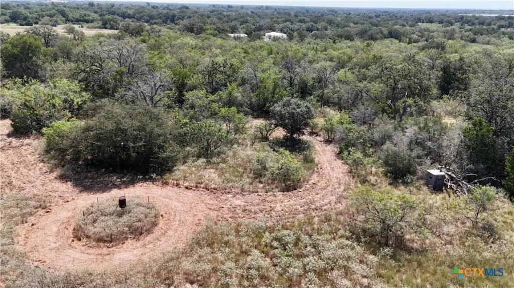 Picture 25