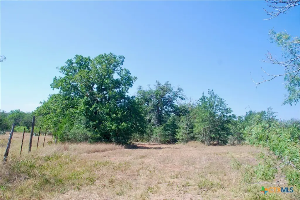 Picture 27