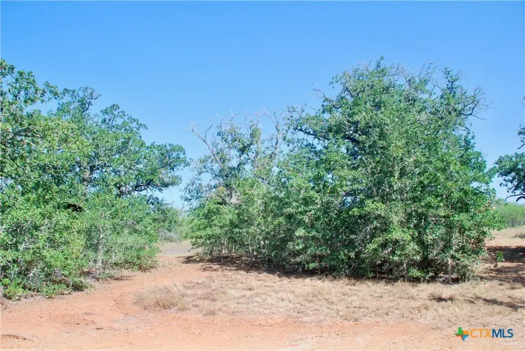 Picture 6
