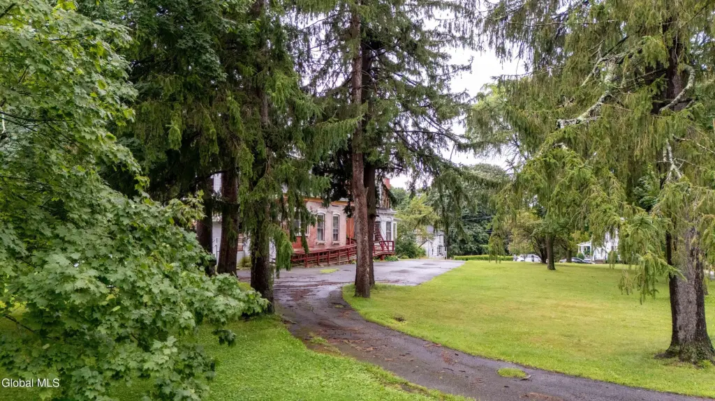 Picture 5