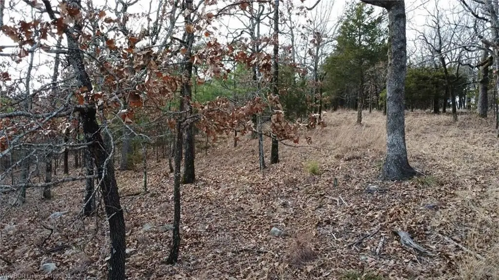 Picture 16