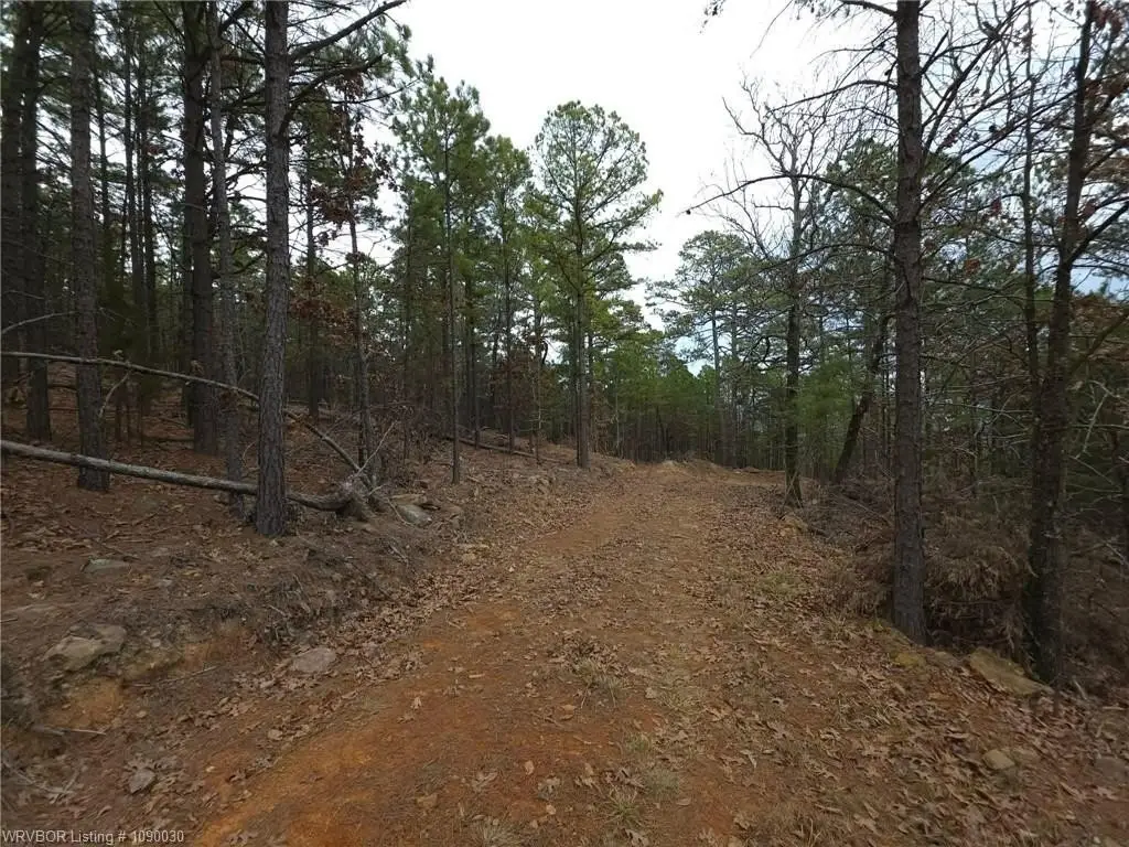 Picture 15