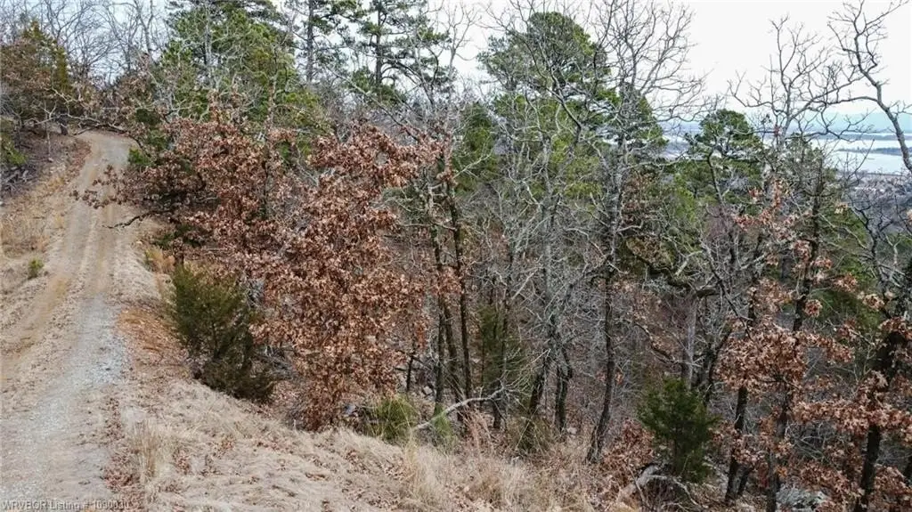 Picture 41