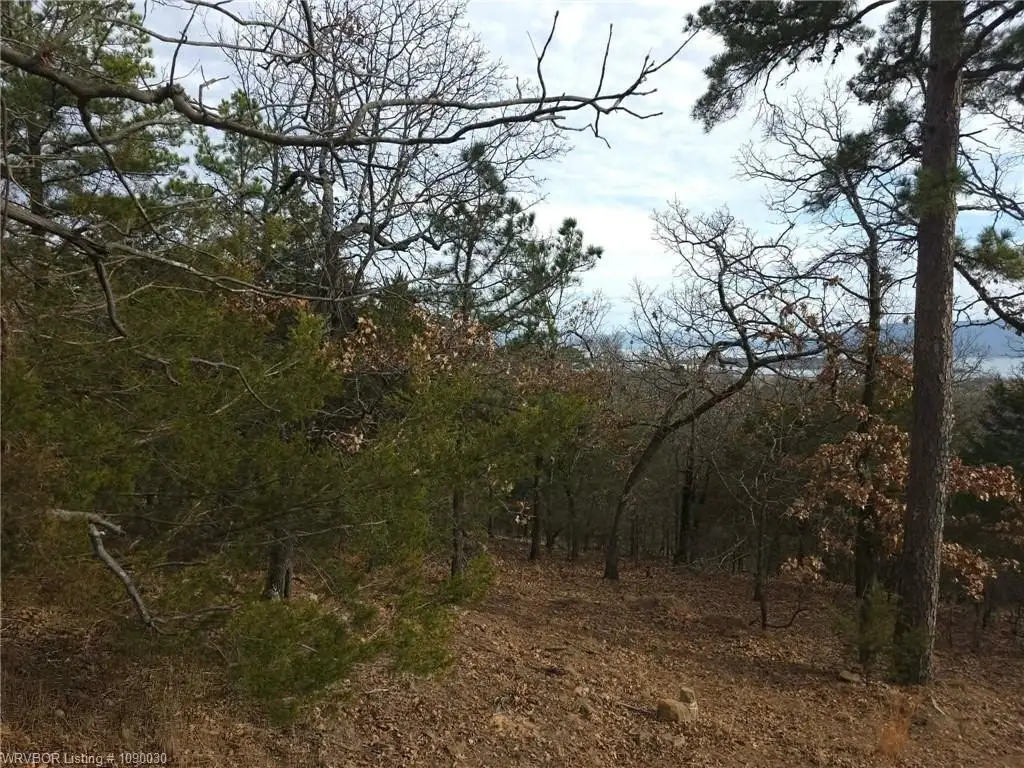 Picture 6