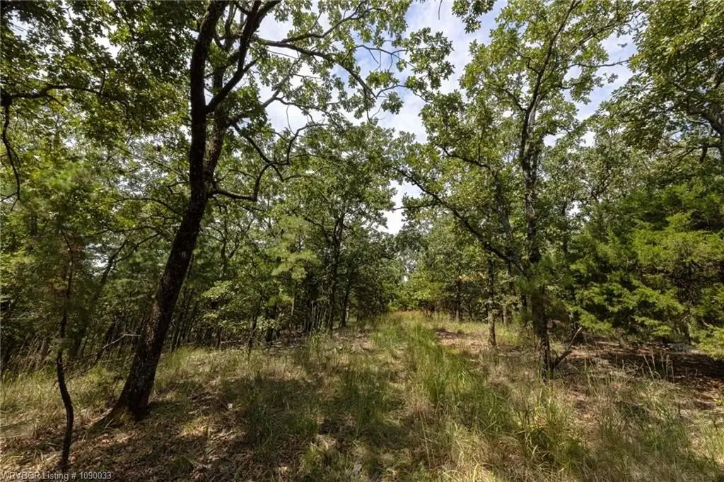 Picture 13