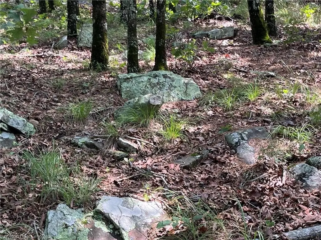 Picture 23