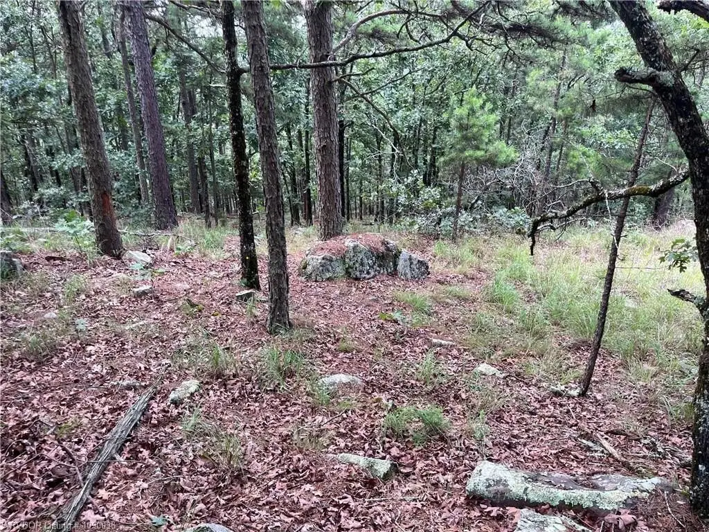 Picture 28