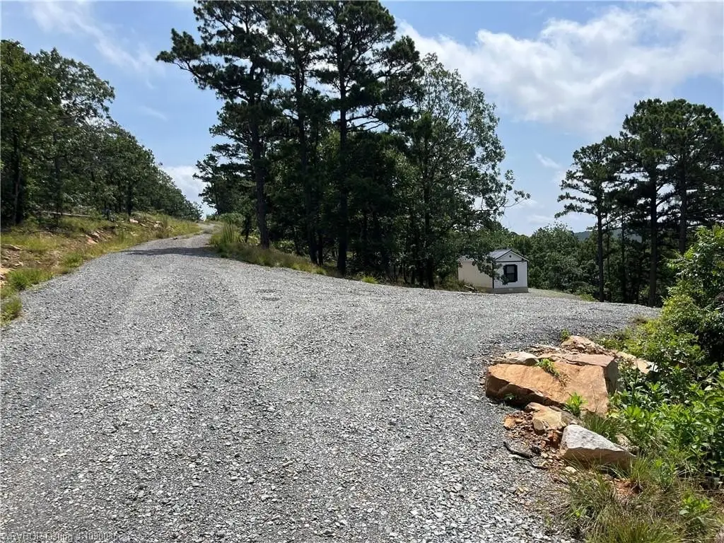Picture 21