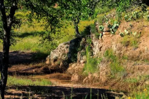 Scenic Land with Creek and Ponds