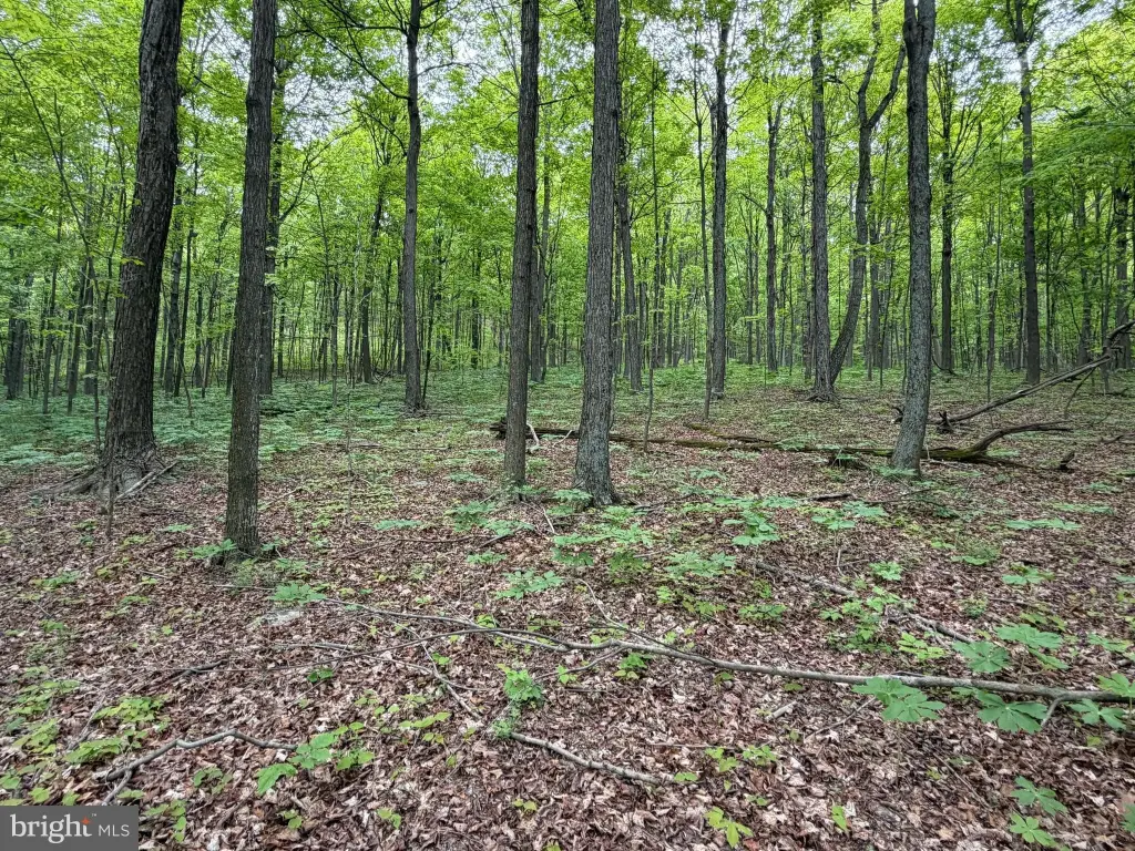 Picture 9