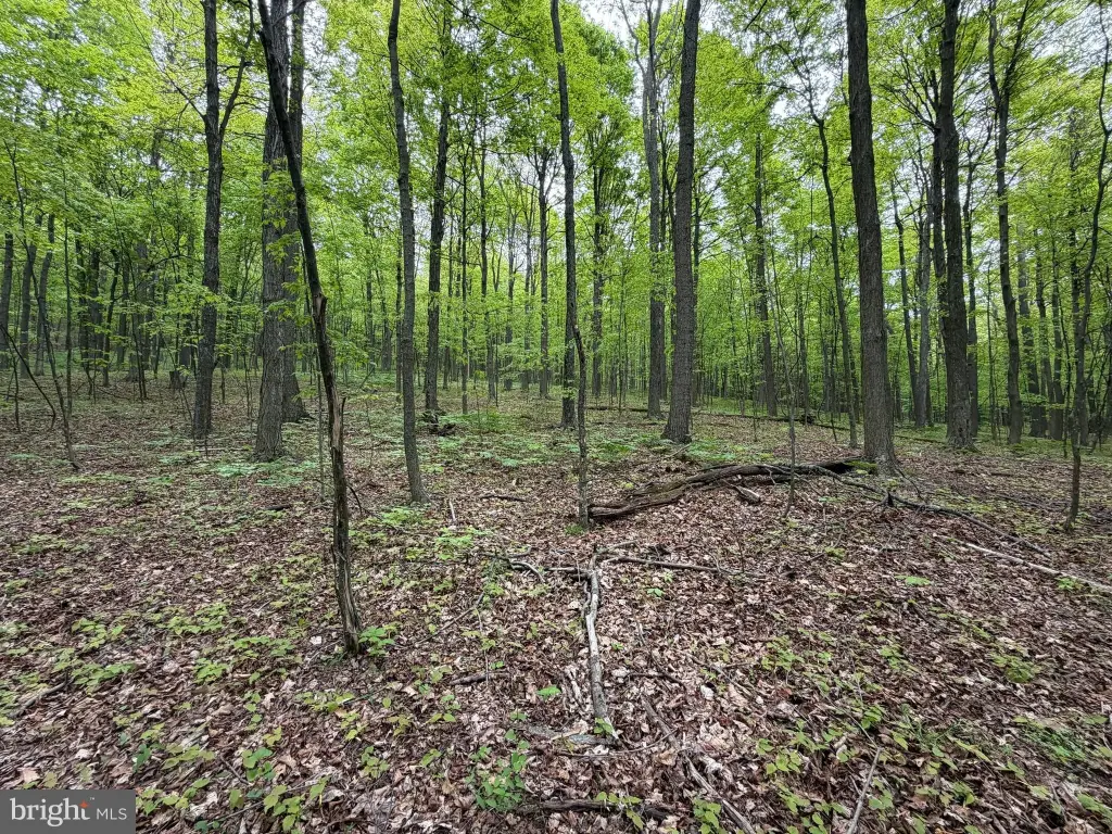 Picture 6