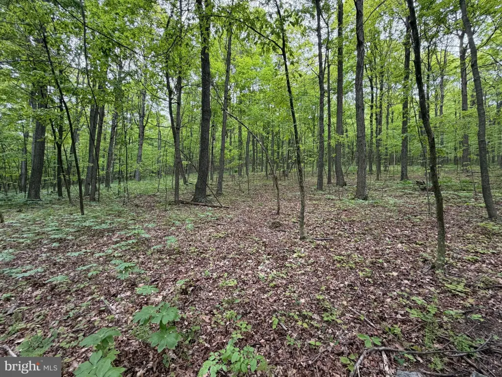 Picture 5