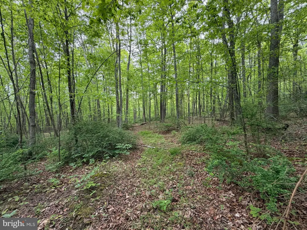 Picture 6
