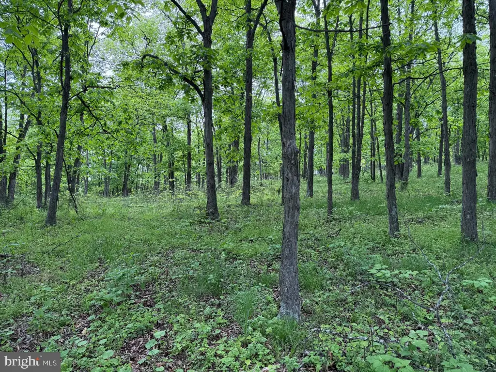 Picture 36