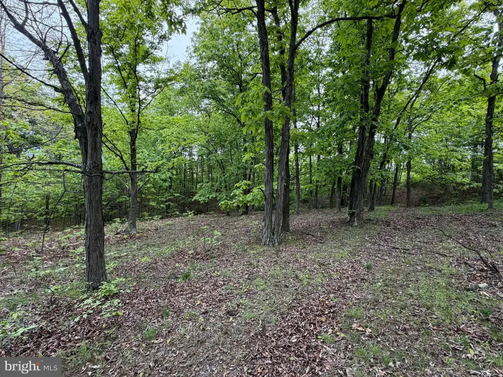 Picture 37