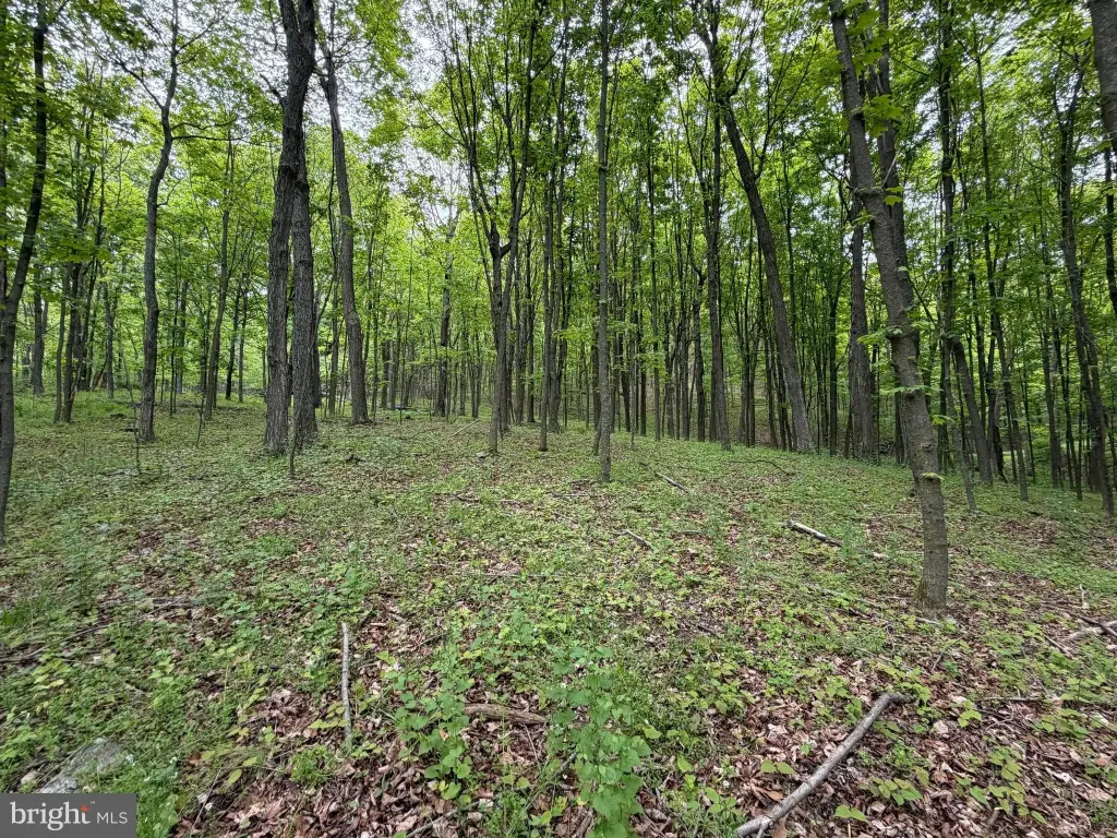 Picture 30
