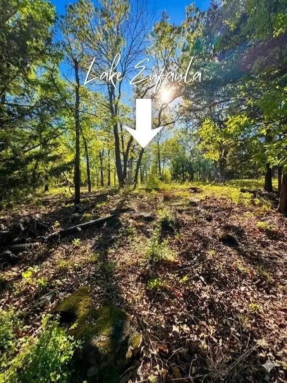 Picture 17