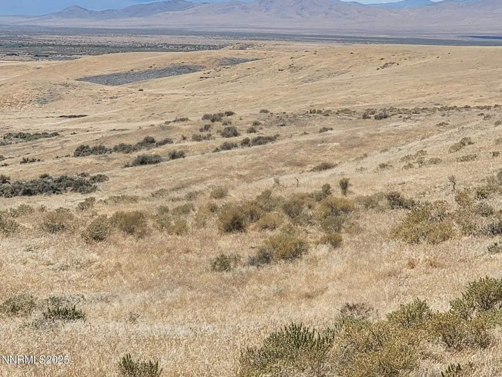 Picture 21
