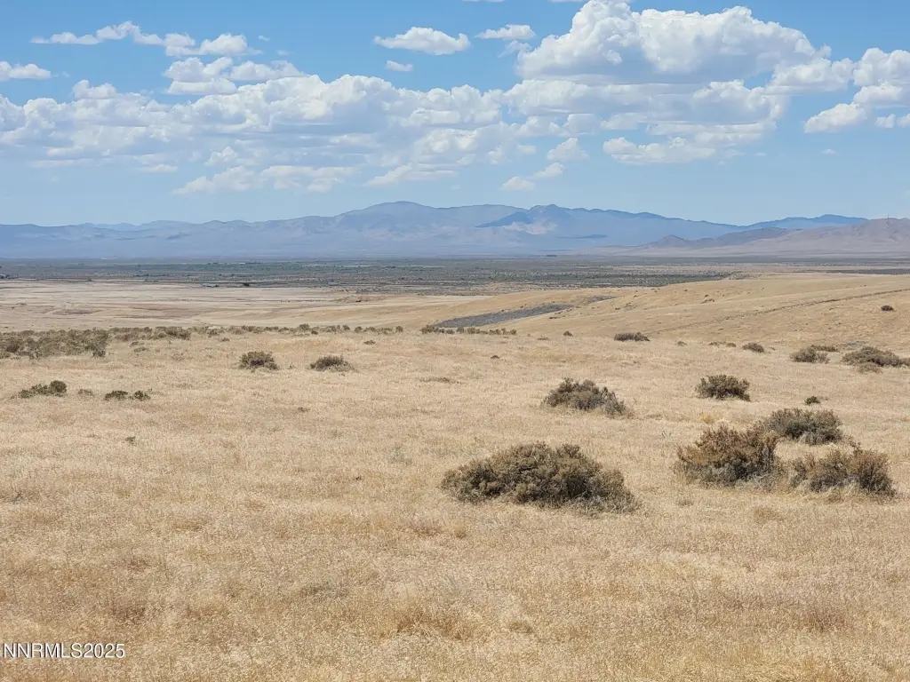 Picture 26