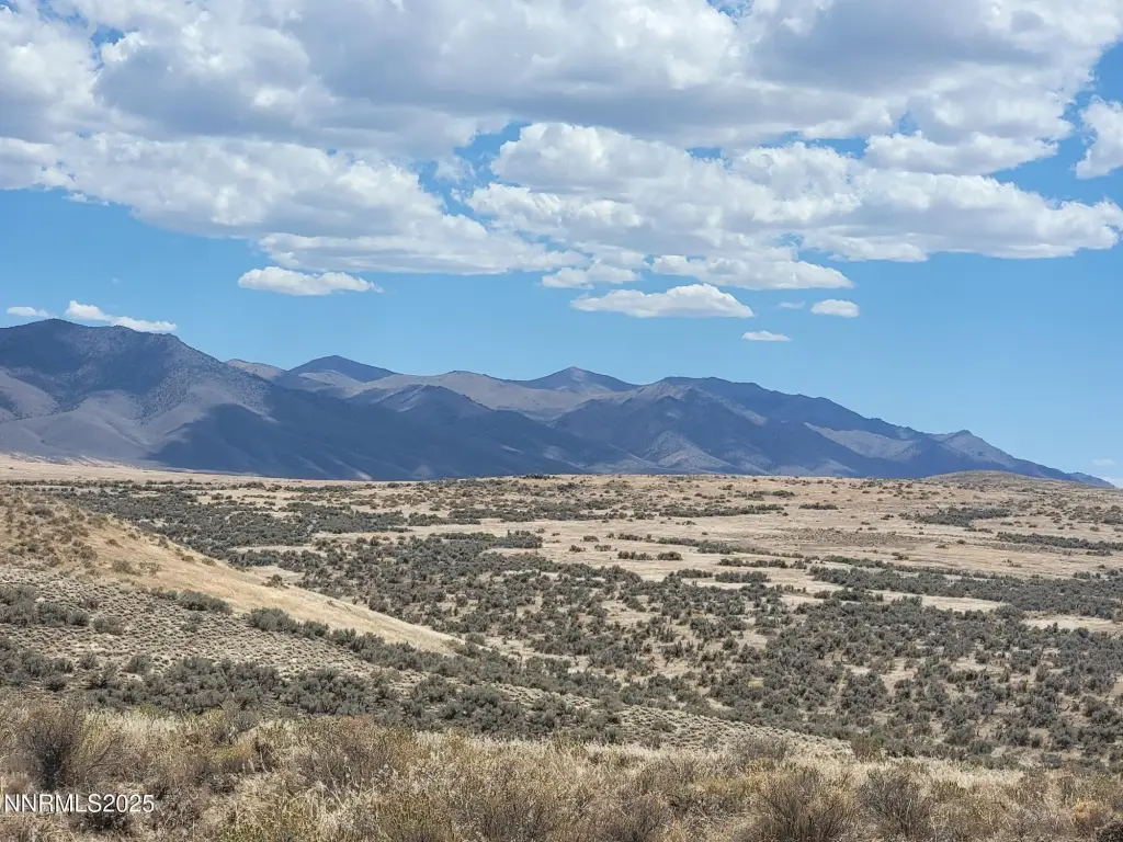 Picture 23