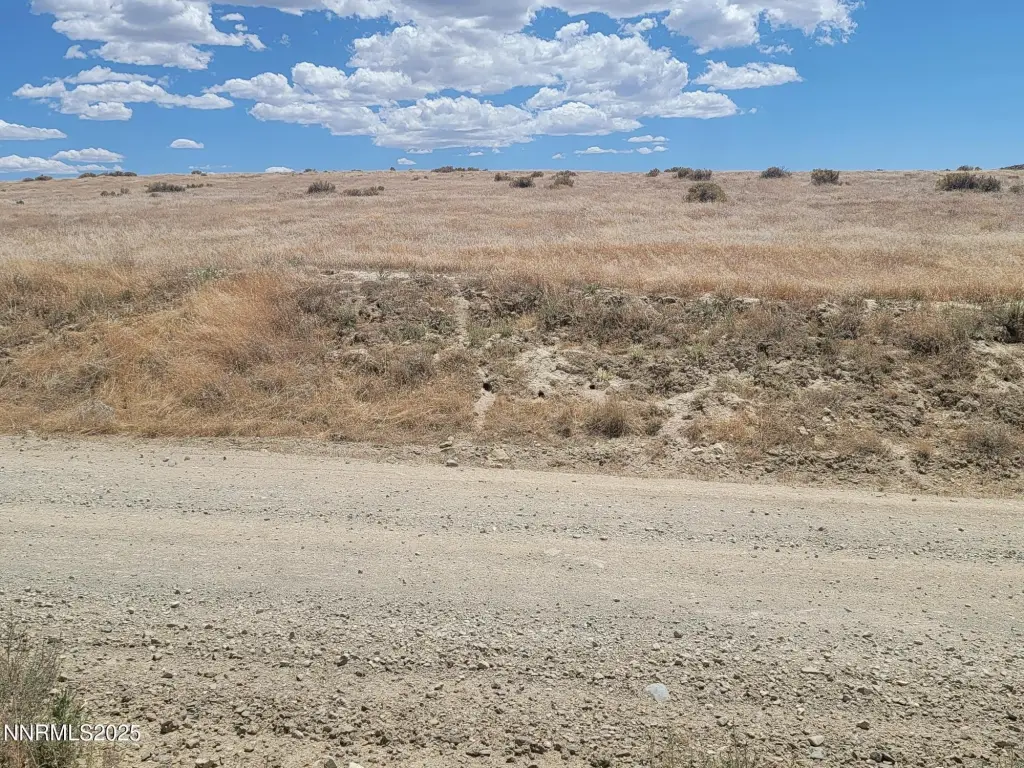 Picture 3