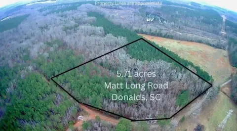 Wooded Homesite Ready For Vision