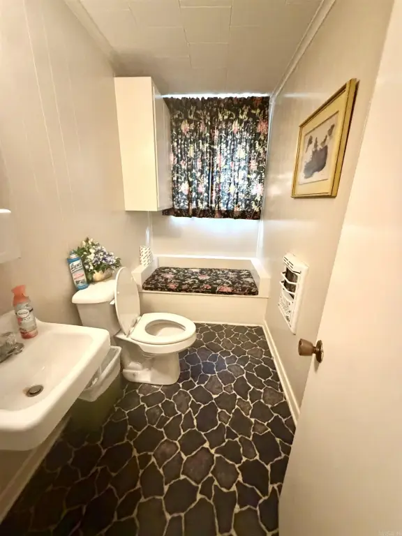 Picture 5