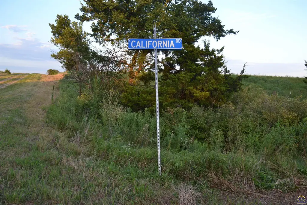 Picture 19