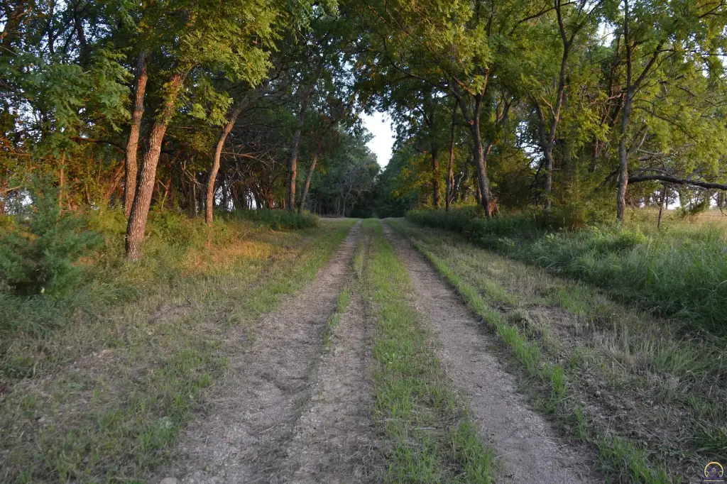 Picture 14
