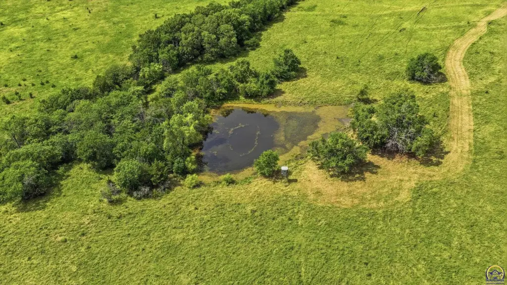 Picture 9
