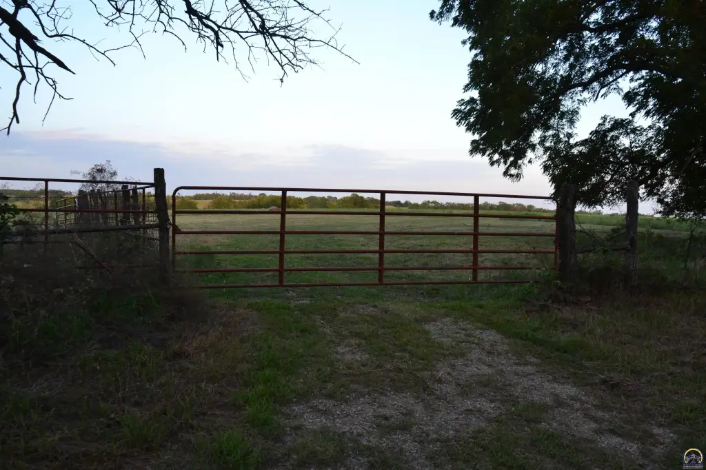 Picture 16