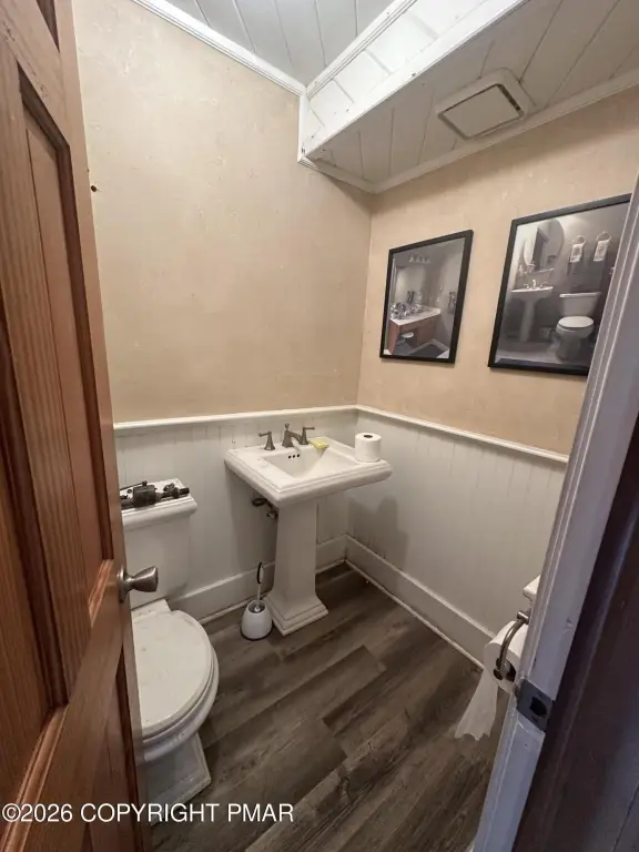 Picture 5