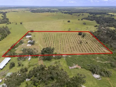 Farm with Established Citrus Grove
